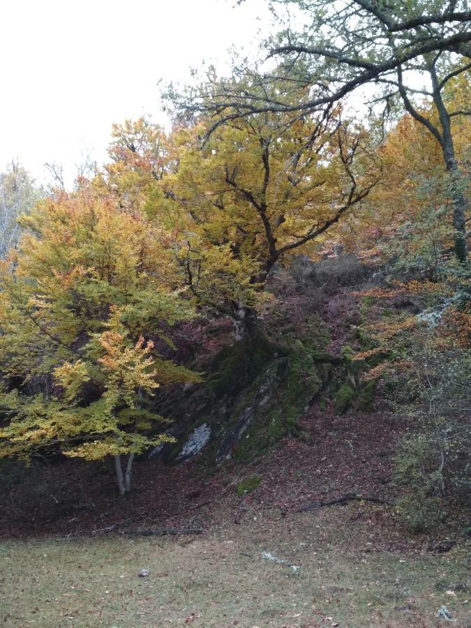 La Casa Emboscada Villa Horcajo de la Sierra Екстериор снимка